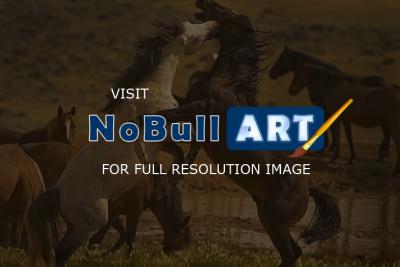 Horses - Wild Mustang Stallions - Digital